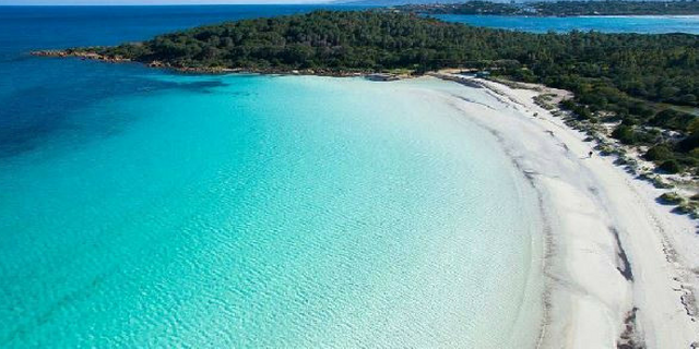 Risultato immagini per cala brandinchi a san teodoro