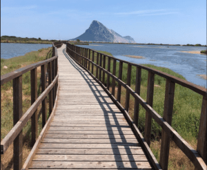 stagno porto taverna